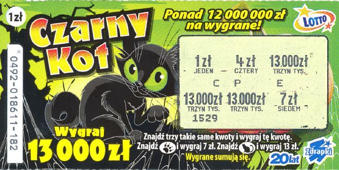 czarny kot.jpg