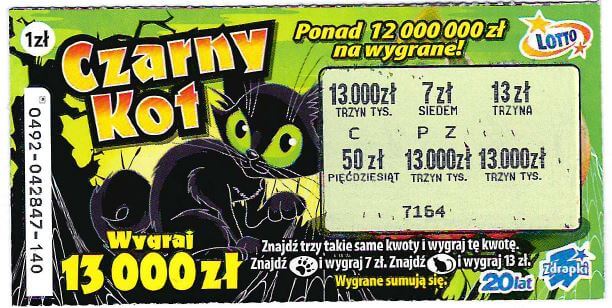 czarny kot.jpg