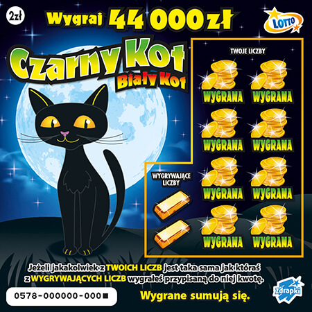 Czarny Kot Bialy Kot _1.jpg