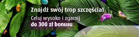 Tropem wysokich wygranych