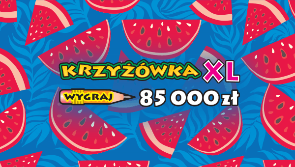Logo KRZYŻÓWKA XL